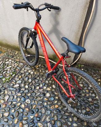 bici mtb 
