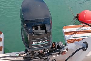 Fuoribordo Mercury 25 cv America