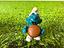 Immagine 1