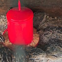 Quaglie maschio per rinnovo sangue