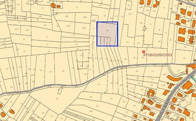 Uliveto da estirpare