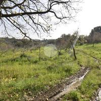 TER. AGRICOLO A AGROPOLI