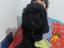 Immagine 3