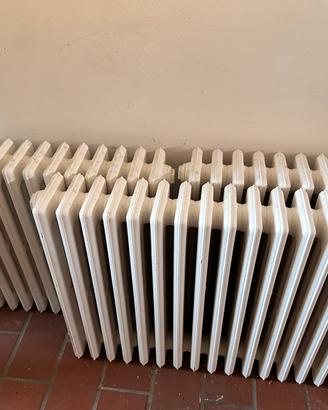 Termosifone in ghisa