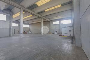 CAPANNONE A PONTIROLO NUOVO