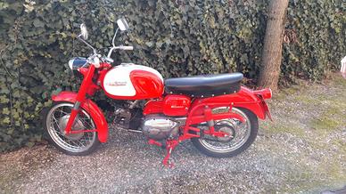 Aermacchi Wisconsin 250