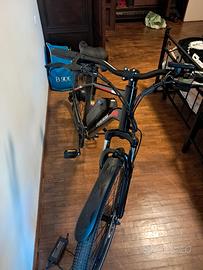Bicicletta Elettrica