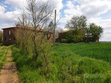 Casale rustico torrita di siena