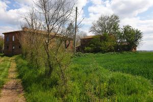 Casale rustico torrita di siena