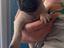 Immagine 2