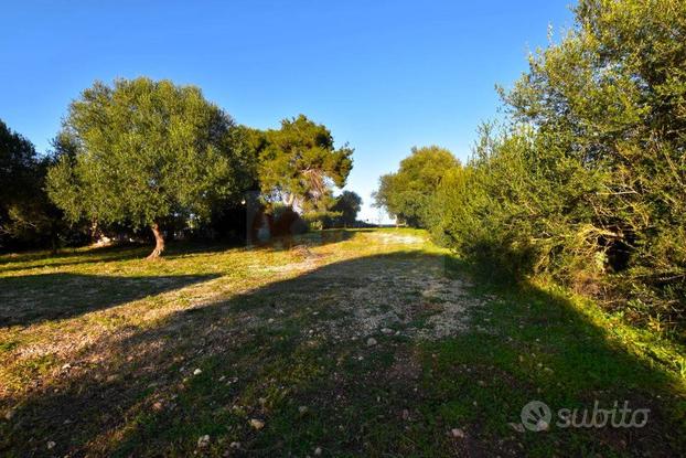 Terreno Agricolo - Sassari