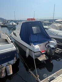 Gobbi 599 yamaha 2019