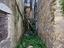 Immagine 13