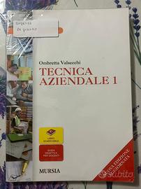 “Tecnica aziendale 1”