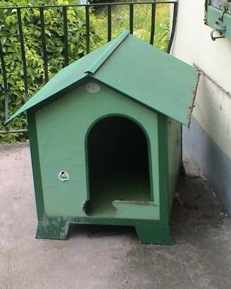 cuccia x cane