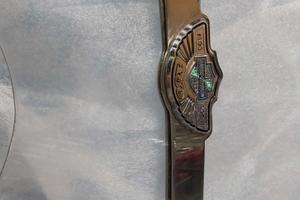 parabrezza 883 sportster