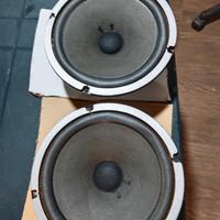 woofer della Pioneer 