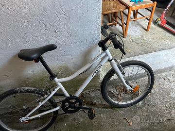 bicicletta 
