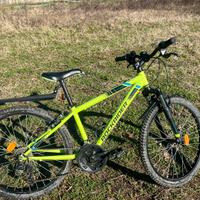 Bici bambino 10/12 anni