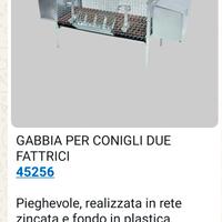 gabbia per fattrici