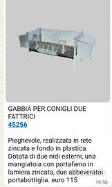 gabbia per fattrici