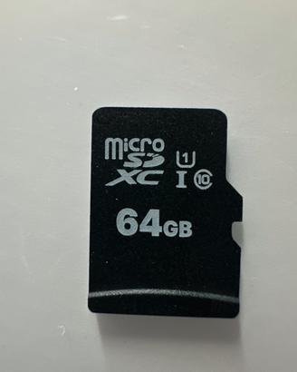Nintendo switch scheda memoria