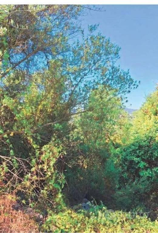 Immobile in asta di 19840 m² a Maenza - Vista 2
