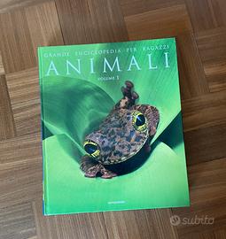 Grande libro animali x bambini - lettura vacanze