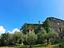 Immagine 11
