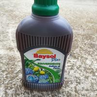 Rinverdente solfato di ferro Baysol