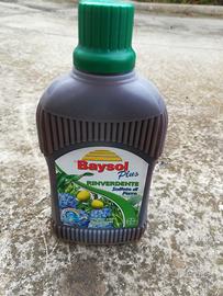 Rinverdente solfato di ferro Baysol