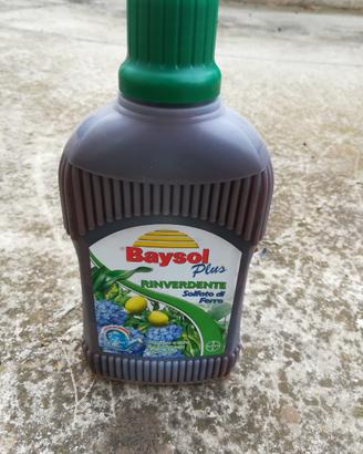 Rinverdente solfato di ferro Baysol