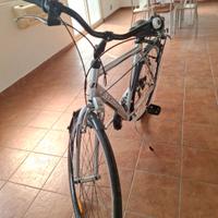 bici da passeggio