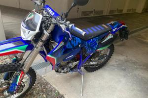 Yamaha wr 450