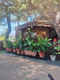piazzola con roulotte 