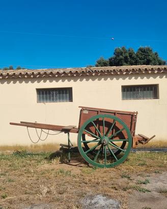carro per cavallo 