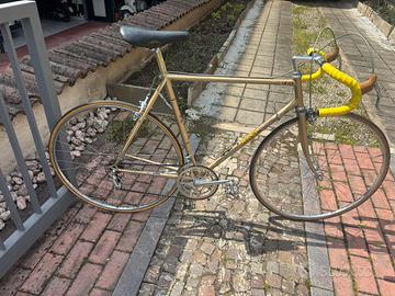 Masi Gran Criterium