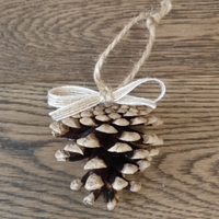 Set di n.10 Pigne naturali Decorate a mano