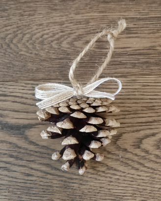 Set di n.10 Pigne naturali Decorate a mano