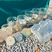 Vasi  per acciughe e barattoli Bormioli nuovi