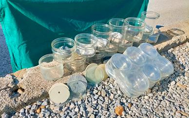 Vasi  per acciughe e barattoli Bormioli nuovi