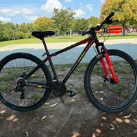 Bici mtb alluminio 29 pollici