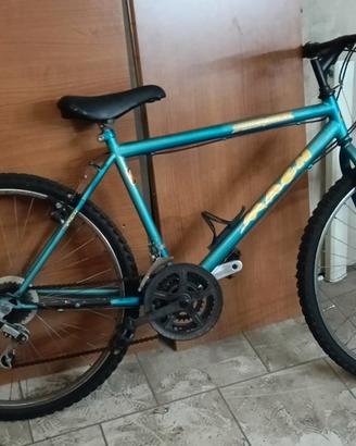  Bici come da foto 