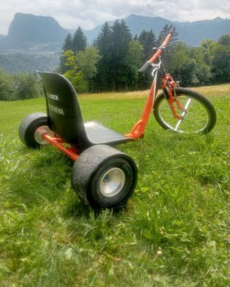 Bicicletta DRIFT TRIKE