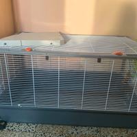 gabbia+ruota+trasportino per criceti