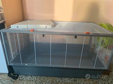 gabbia+ruota+trasportino per criceti