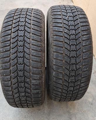 Goome 195 55 R16 SAVA eskimo hp 2