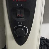 Termosifone elettrico