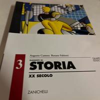 Testo di storia Camera Fabietti