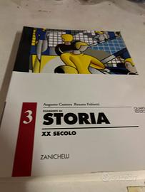 Testo di storia Camera Fabietti